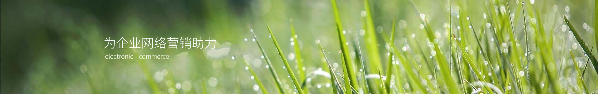 ǽݻе豸޹˾